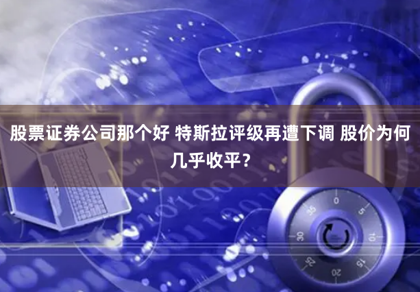 股票证券公司那个好 特斯拉评级再遭下调 股价为何几乎收平？