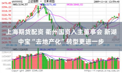 上海期货配资 衢州国资入主董事会 新湖中宝“去地产化”转型更进一步