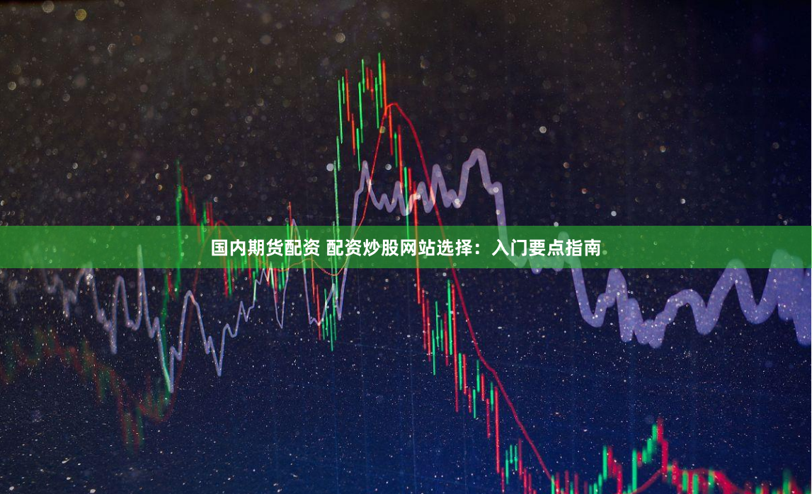 国内期货配资 配资炒股网站选择：入门要点指南