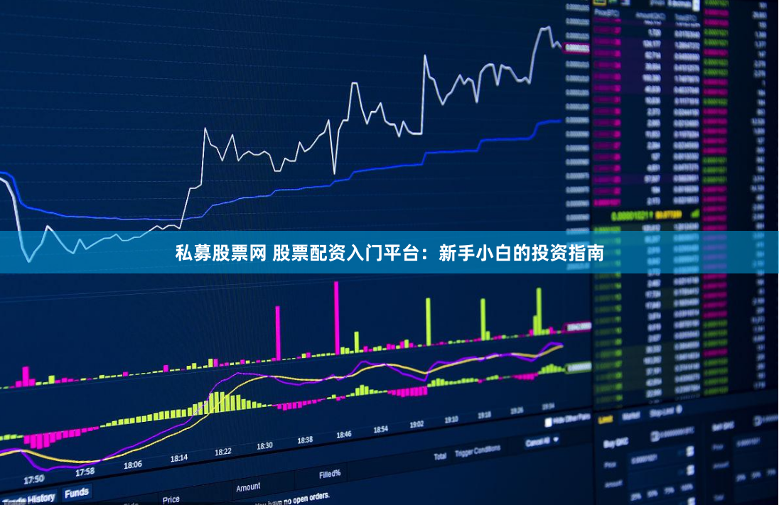 私募股票网 股票配资入门平台：新手小白的投资指南