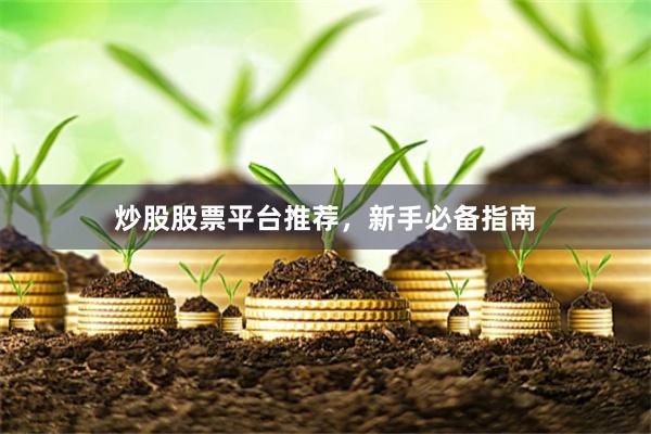 炒股股票平台推荐，新手必备指南